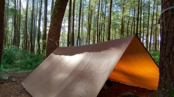 Tempat Camping di Sulsel Hutan Pinus. (Foto: Istimewa).