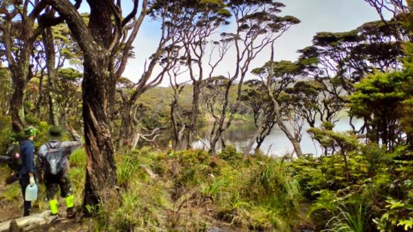 Tempat camping di Sumatera Barat, Camp Area Telaga Dewi (Dokumen Aditiya Warman)