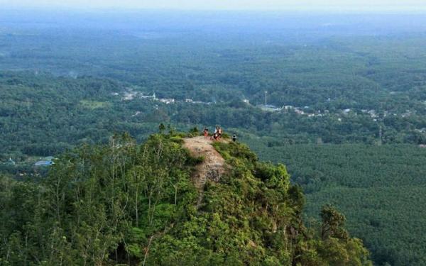 Tempat wisata di Labuhan Batu, Hadabuan Hill (Foto: Dok disbudpar.sumutprov)