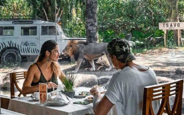 Tsavo Lion Restaurant, Gianyar, Bali. (Foto: Instagram @tsavolionrestaurant)