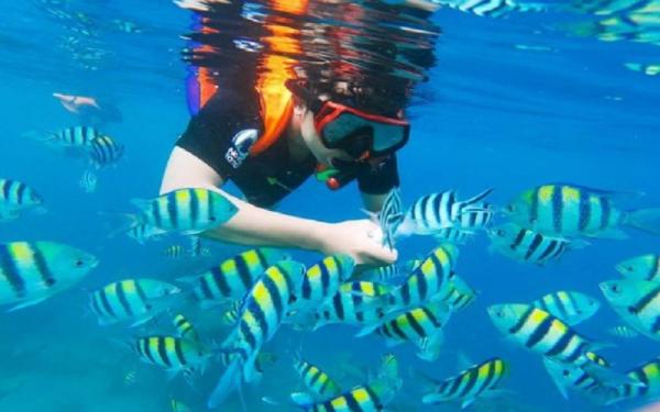 Tempat camping di NTB, Gili Sudak (Foto: Instagram/Tanjungkelor Boattransport) Tempat camping di NTB, Gili Sudak (Foto: Instagram/Tanjungkelor Boattransport)