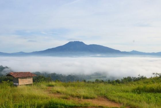 Bukit Bawang Bakung (Foto: Lampungbaratkab.go.id)
