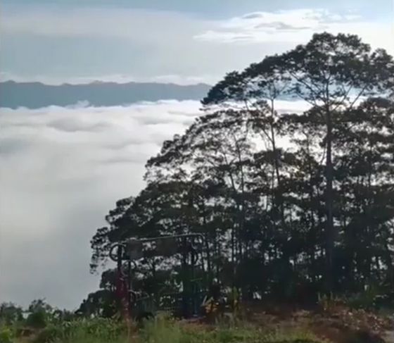 temiangan hill (Foto: Instagram/temianganhill)