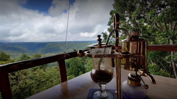5 Tempat ngopi di Buleleng Bali salah satunya Authentic Eco Café 2. (Foto: ist)