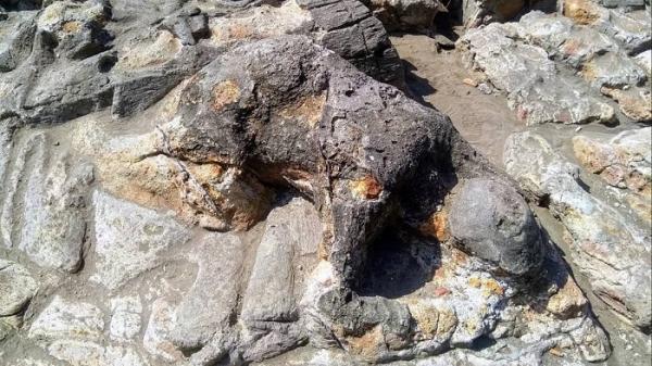 Batu Malin Kundang Batu Malin Kundang yang menjadi cerita rakyat populer dari Sumatera Barat. (Foto: Istimewa)