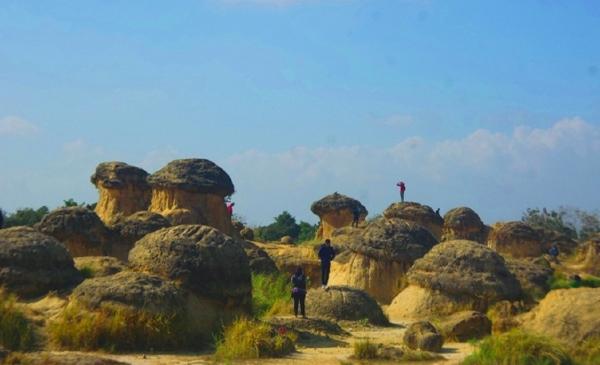 Bukit Jamur di Gresik, Jawa Timur. (Foto: emakmbolang.com)