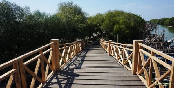 Mangrove Ujungpangkah Gresik Mangrove Ujungpangkah di Gresik. (Foto: tempatwisata.org via Disparbud Gresik)