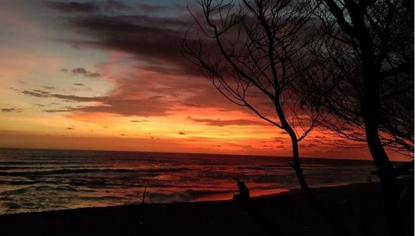 pantai Pandansari Pantai Pandansari. (Foto: Instagram/pandansari_beach)