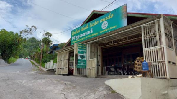 Tempat kuliner di Bukittinggi-4 Tempat kuliner di Bukittinggi, Gulai Itiak Lado Mudo Ngarai (Dokumen/ Rina Kartikasari)