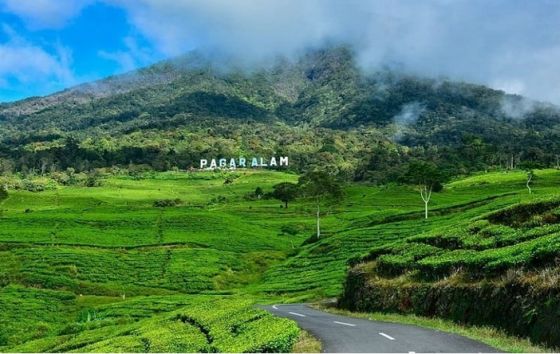 gunung dempo (Foto: Istimewa)