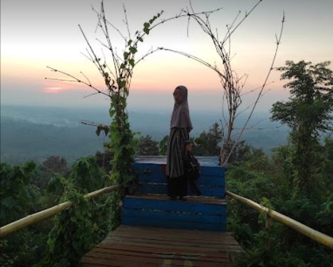 Puncak pawiki di Lampung Timur. (Foto: Instagram)