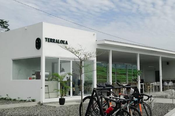  Ngopi di sini tempatnya yang nyaman dan cozy, dilengkapi dengan fasilitas yang lengkap seperti wifi dan live music. (Foto : @terraloka.id)