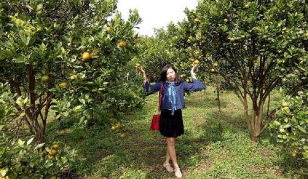 Tempat wisata di Karo Sumatera Utara salah satunya Kebun Jeruk. (Foto: Instagram/Lie Lien)