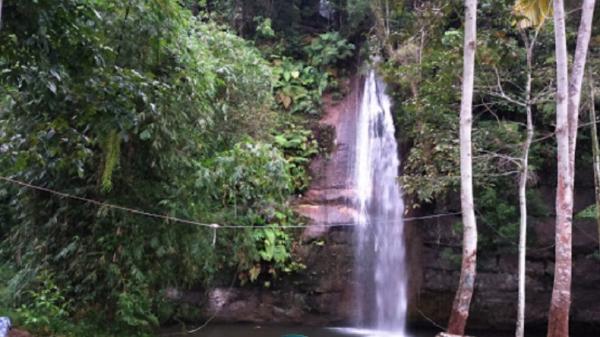 Tempat camping Sarasah Donat. (Foto: Istimewa).