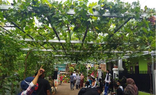 Cerita Warga Munjul Buat Urban Farming, Kini Omzet Jutaan Tiap Bulan