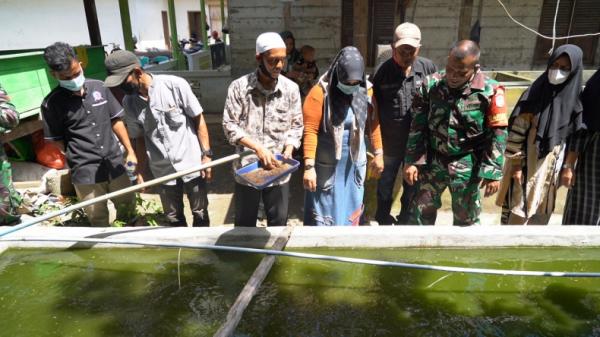 Babinsa TNI ternak maggot Serda Samsudin, menularkan pengetahuannya tentang budi daya Maggot Black Soldier Fly (BSF) untuk warga di Desa Tanjong Dalam Selatan, Kecamatan Langkahan (Jamal Pangwa/MNC Portal)
