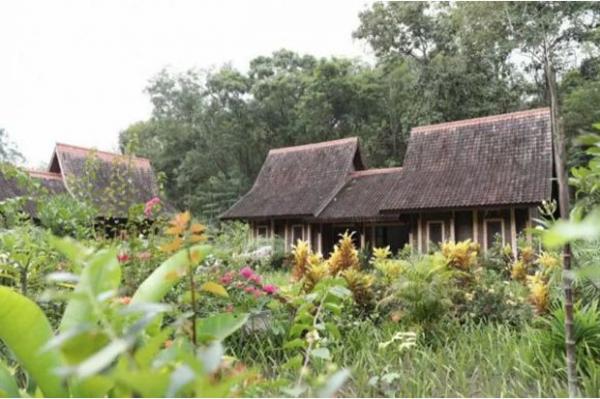  Paviliun di Hutan Wanagama Desa Banaran, Kecamatan Playen, Gunungkidul. (Foto Antara /HO Humas UGM)