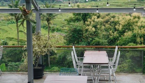 Suasana fresh dengan pemandangan di sekitar kafe memberikan nuansa berbeda bagi Anda. (Foto: Instagram/@plumeria.cafe)