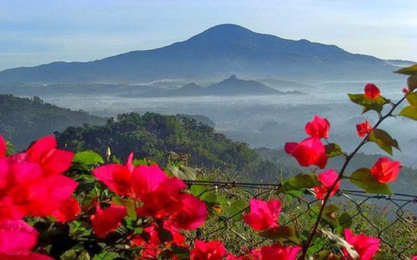 12 Tempat wisata di Sumedang: Curug Cinulang, Air Terjun Kembar yang Instagramable