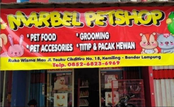 marbel pet shop 10 pet shop terdekat di Bandar Lampung salah satunya Marbel Pet Shop. (Foto: Instagram @marbelpetshop_)