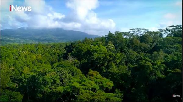 Desa Sesaot. (Foto: MNC Portal Indonesia)