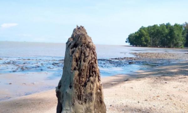 Pantai Tanah Merah Balikpapan. (Foto: IG @sariyogiogi)