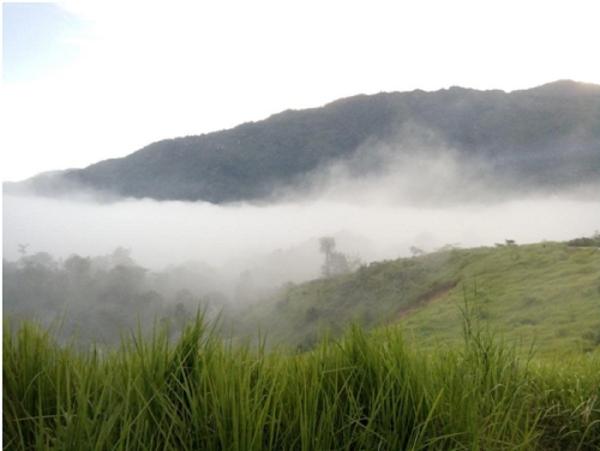 Tempat camping di Paser Kaltim, Bukit Sebui. (Foto: Dokpri/Riza)