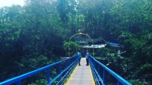 Tempat Wisata di Pringsewu Talang Indah. (Foto: Istimewa).