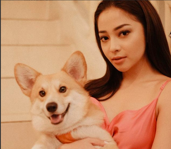 Deretan artis cantik penyuka anjing. (Foto: Instagram)