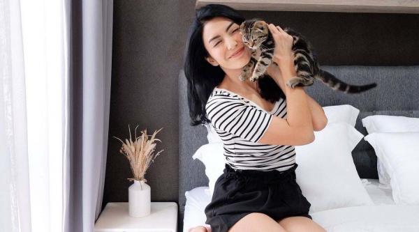 15 Artis Cantik Suka Kucing1 Deretan artis cantik penyuka kucing ras seharga puluhan juta rupiah. (foto: Instagram)