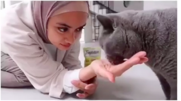 Screen Shot 2021 11 15 At 09 49 14 Deretan artis cantik penyuka kucing ras seharga puluhan juta rupiah. (foto: Instagram)