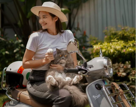 Screen Shot 2021 11 15 At 10 02 44 Deretan artis cantik penyuka kucing ras seharga puluhan juta rupiah. (foto: Instagram)