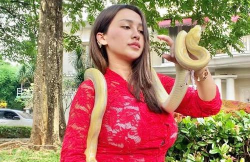 Cupi Cupita dan ular Cupi Cupita penyanyi dangdut seksi berpose dengan ular.