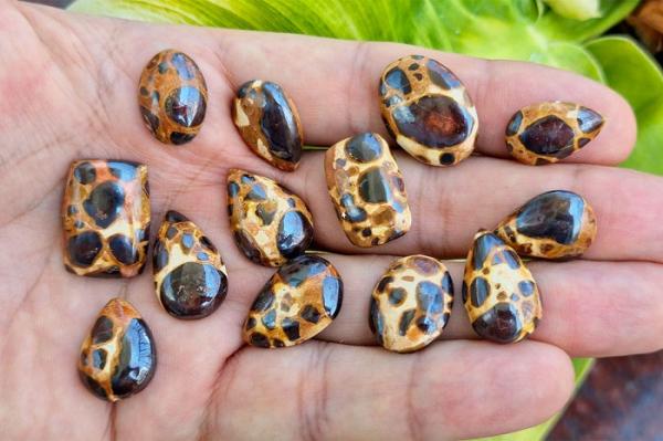 Ilustrasi Daerah Penghasil Bauksit Terbesar di Indonesia, Kalimantan Barat (Foto: Istimewa)