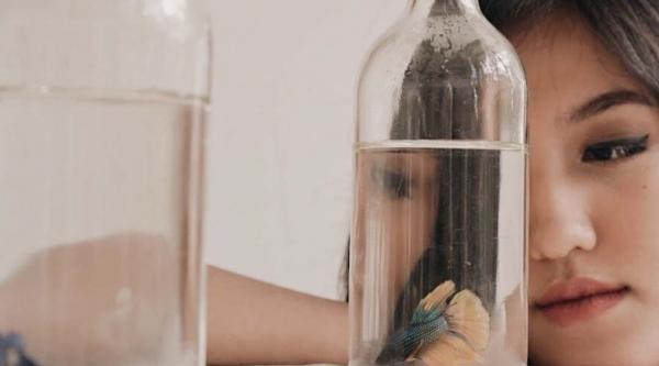 26 Ikan Cupang Deretan artis Indonesia ini ternyata hobi memelihara ikan cupang. (Foto: Instagram)