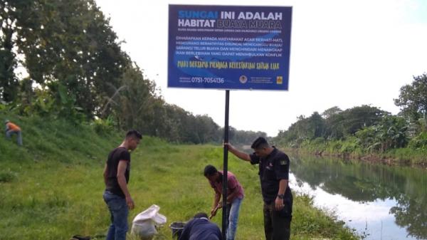 Jadi Habitat Buaya, Warga Padang Dilarang Main di Sungai Batang Kuranji 