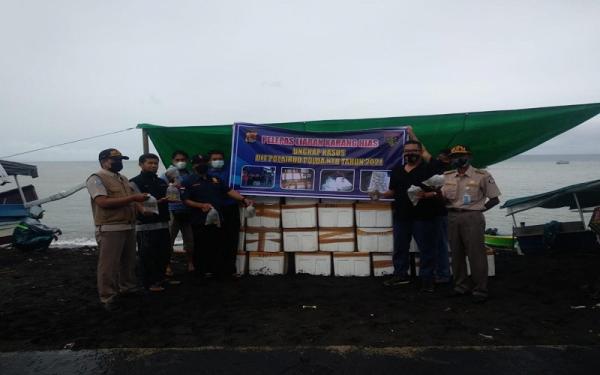 Karang Hias Ilegal 2 BPSPL Denpasar bersama Polairud Polda NTB berhasil mengamankan sebanyak 60 box styrofoam berisikan 2.520 pcs koral hidup (karang hias) di dalam sebuah truk.