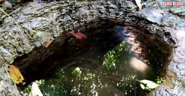 Sumur Kuno2
