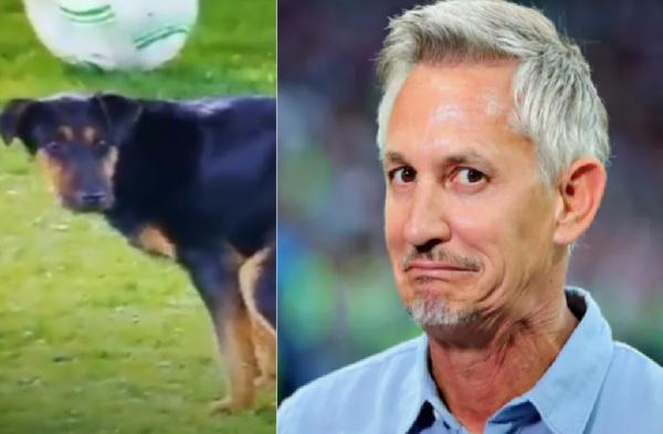 Aksi Anjing BAB di Laga Liga Konferensi Eropa Viral, Reaksi Gary Lineker Bikin Ngakak