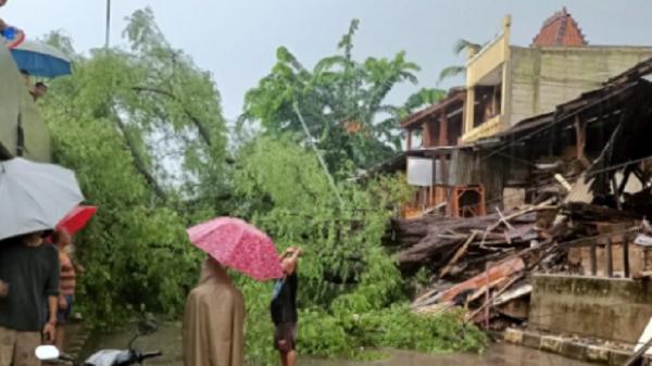 Pohon Tumbang Kalimalang Tmc  Pohon tumbang juga terjadi di Jalan Kalimalang, Jakarta Timur, Sabtu (11/12/2021). (Foto: TMC Polda Metro).