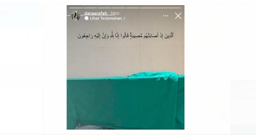 Jenazah Edelenyi Laura Anna. (Foto: IG)