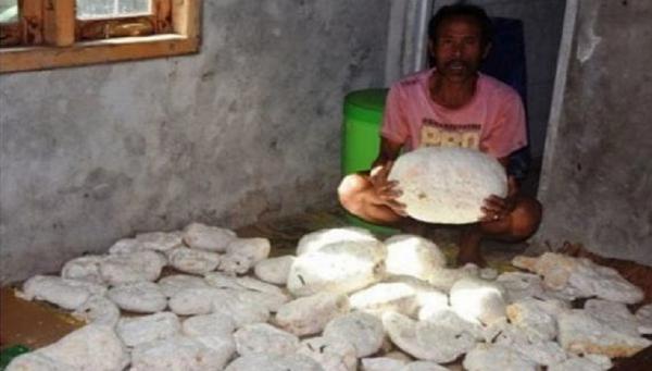 Nelayan NTT menemukan ambergris atau muntahan ikan paus sperma. (Foto: Antara)