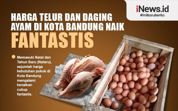 Infografis Harga Telur Dan Daging Ayam Di Kota Bandung Naik Fantastis 7044