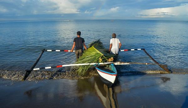 Kadinkes: Nelayan di Lampung Keluhkan Sakit Punggung dan Alergi