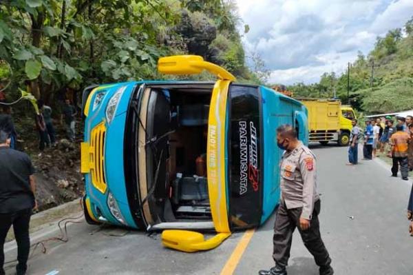 Bus pariwisata tak kuat menanjak. Bus kemudian mundur dan menabrak tebing lalu terguling. (Foto : Ist)