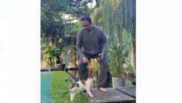 Gubernur DKI Jakarta Anies Baswedan sedang bermain dengan kucingnya bernama Lego. (Foto akun IG Anies Baswedan).