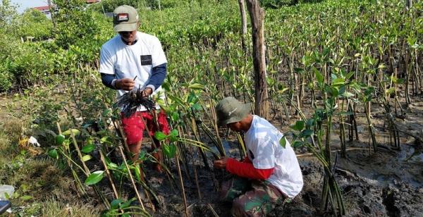 Felicya Angelista bersama dengan Scarlet menanam 3.000 mangrove. (Foto: istimewa)