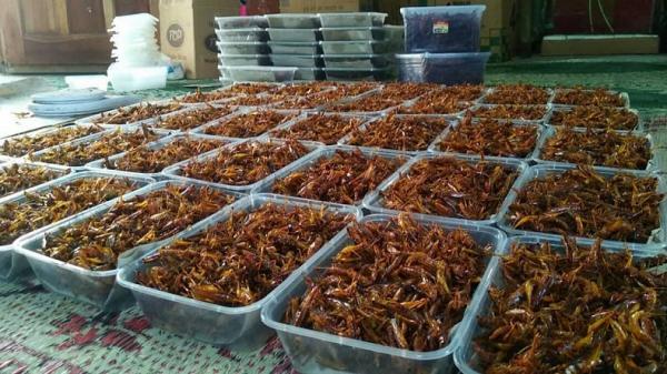 Kuliner ekstrem belalang goreng (Foto: Instagram silvianiken)