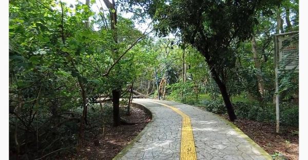 Ide Liburan Akhir Pekan ke Hutan Kota Srengseng