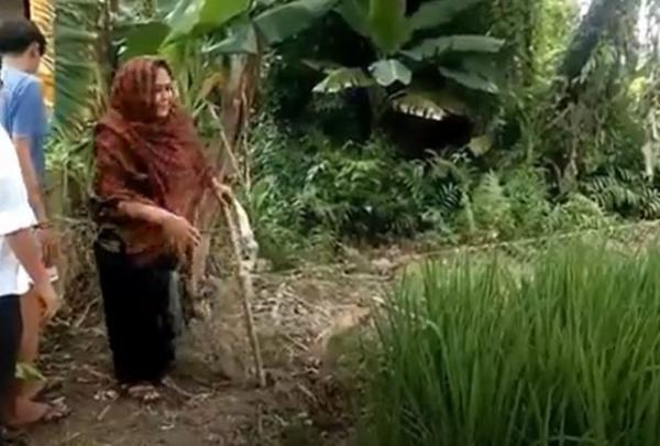 Seorang ibu menunjukan lokasi pembuangan bayi di sawah. (Foto: iNews TV/Iskandar Nasution)